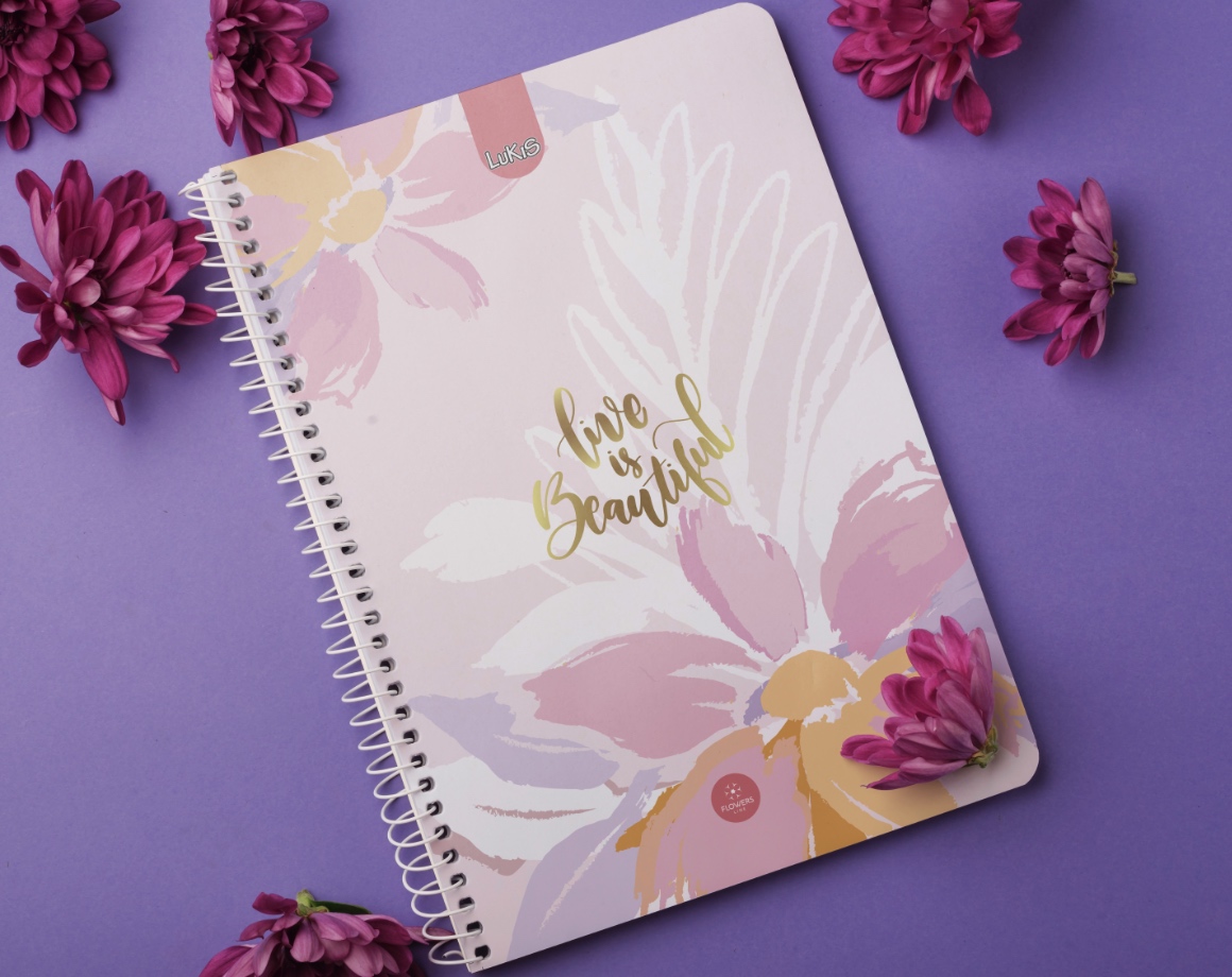 Cuadernos Argollados